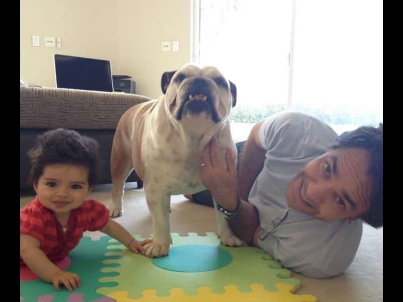 “Aitana y mi perrita Fiona son muy buenas amigas. Ale y yo hemos trabajado mucho para que se quieran y se respeten. Aitana desde que nació convive con Fiona. Han crecido juntas, por lo que Aitana ha aprendido a ser una niña muy respetuosa a la vida de los animales”, precisó el comediante en una serie de videos que publicó minutos después.