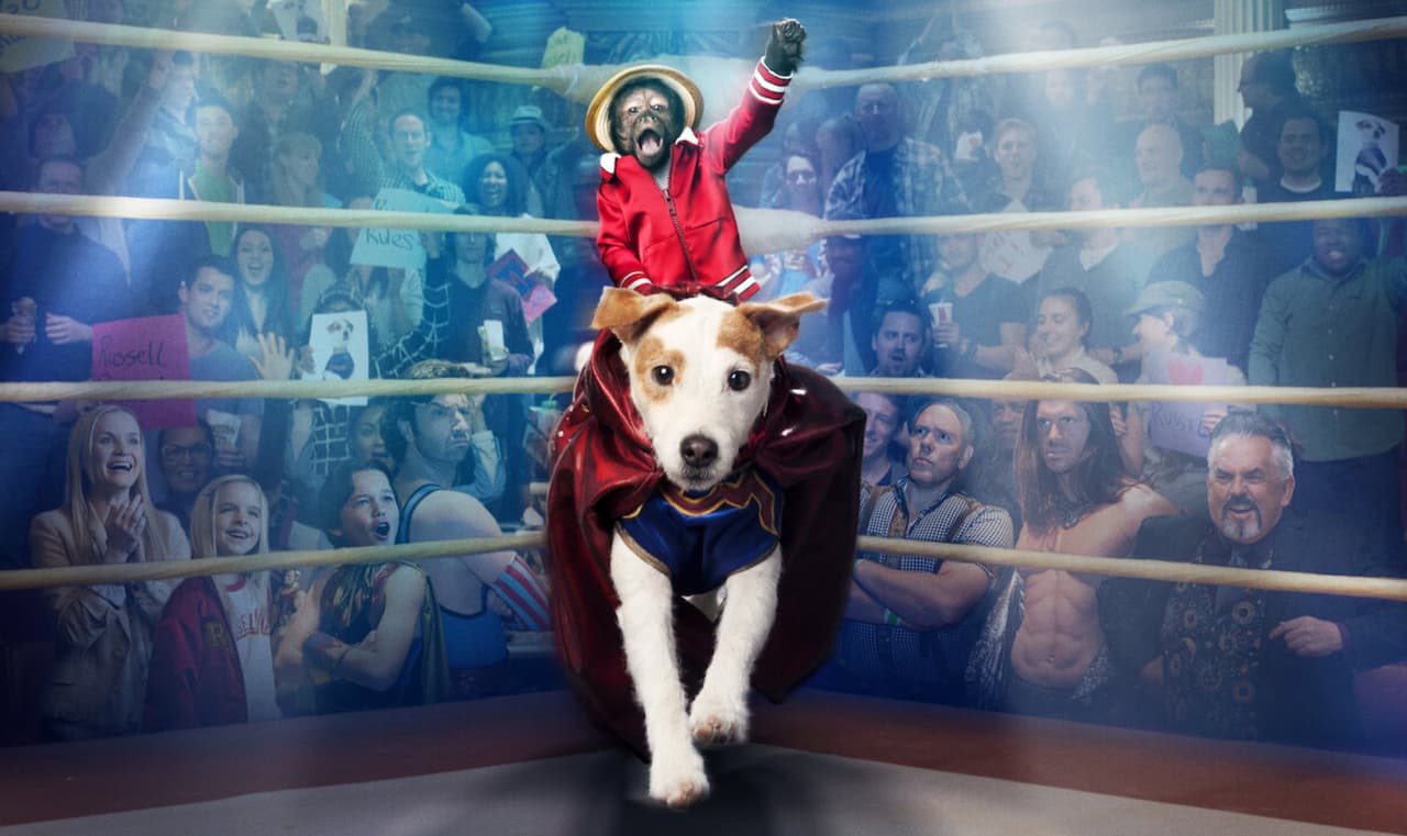 Llega el sorprendente 'Russell sobre el ring' al cine de Canal 5
