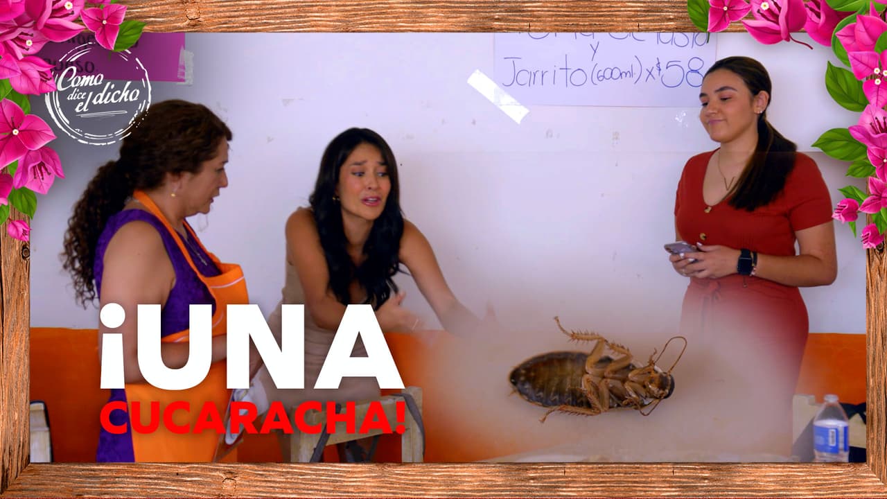 Las enemigas de Mine visitan su taquería para poner cucarachas en la comida