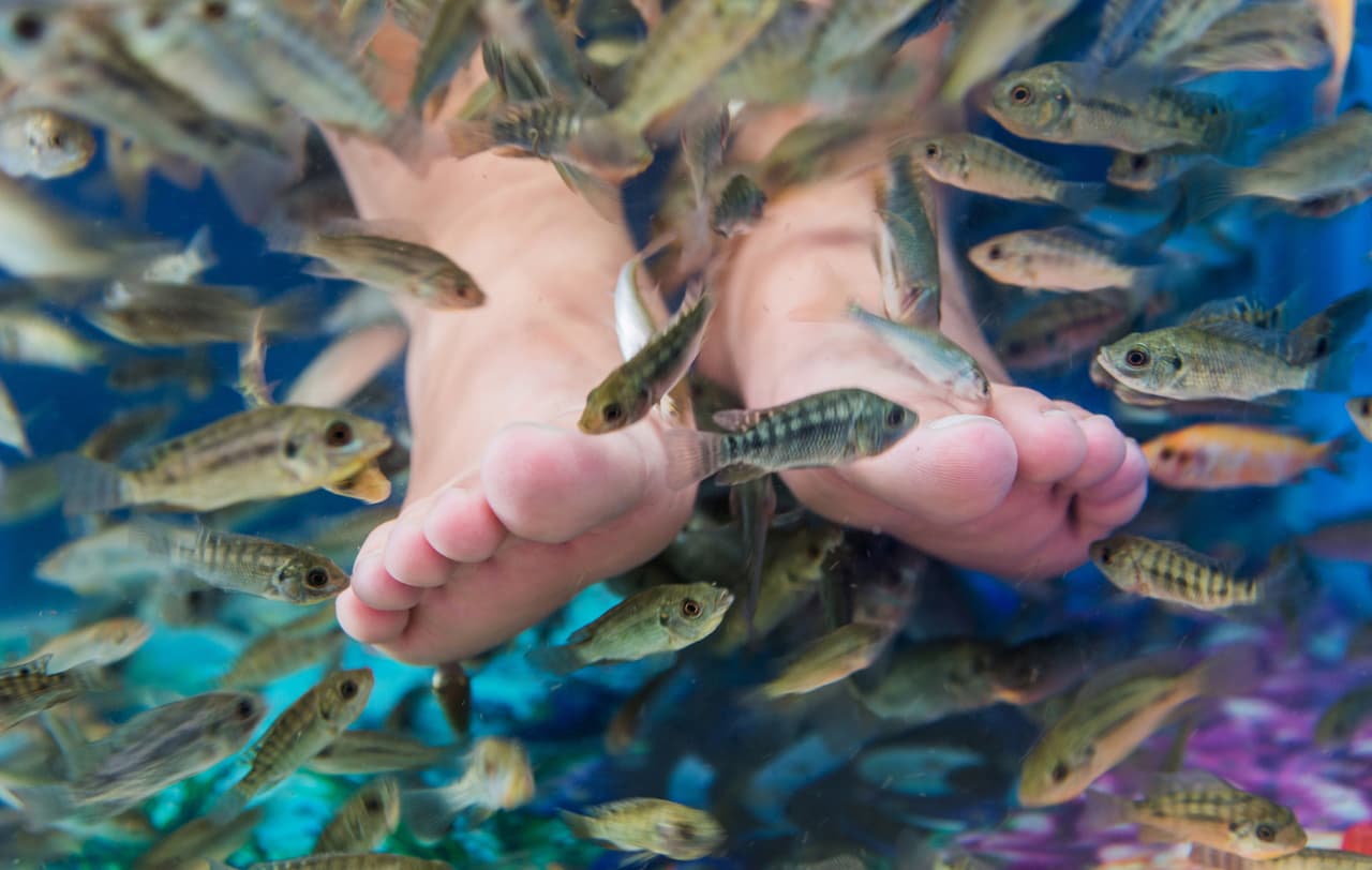 Mujer pierde los dedos del pie tras someterse a pedicure con peces
