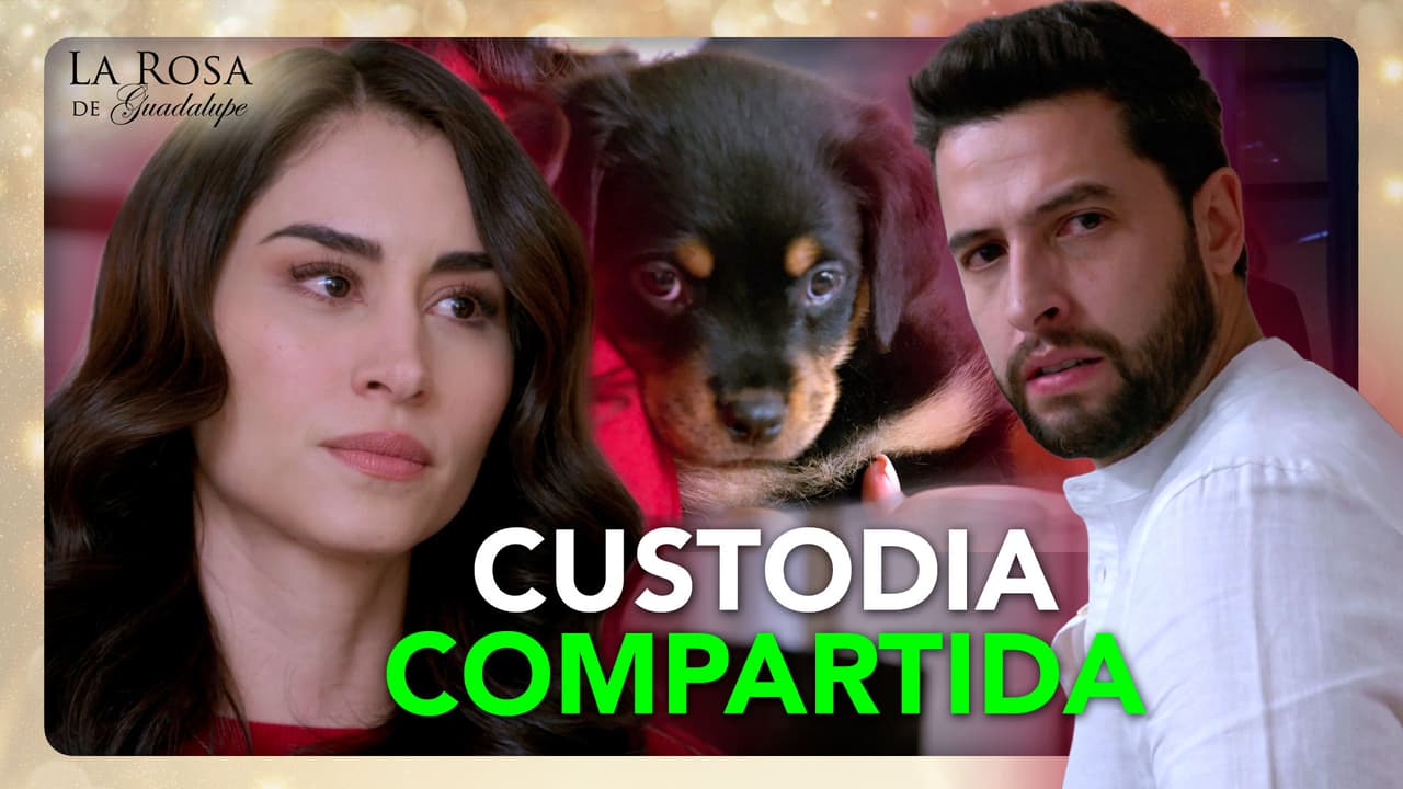 Alma y Diego comparten la custodia de su perrhijo tras el divorcio