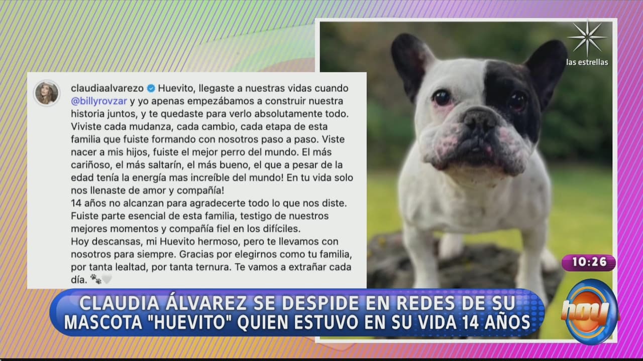 Anuncian en Hoy repentina muerte; se despiden con el corazón roto: “Gracias por elegirnos como tu familia”