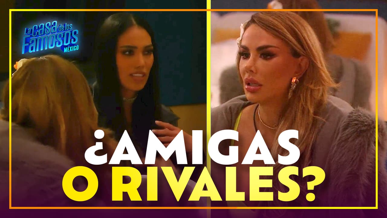 ¿Amigas o rivales? Ninel Conde siente que fue TRAICIONADA por Priscila Valverde