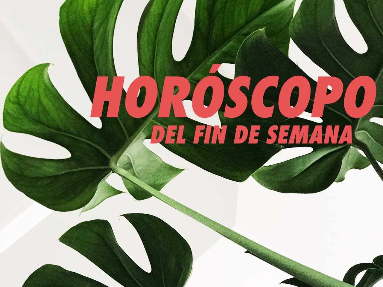 Horóscopo de fin de semana del 11 al 13 de octubre por signo zodiacal