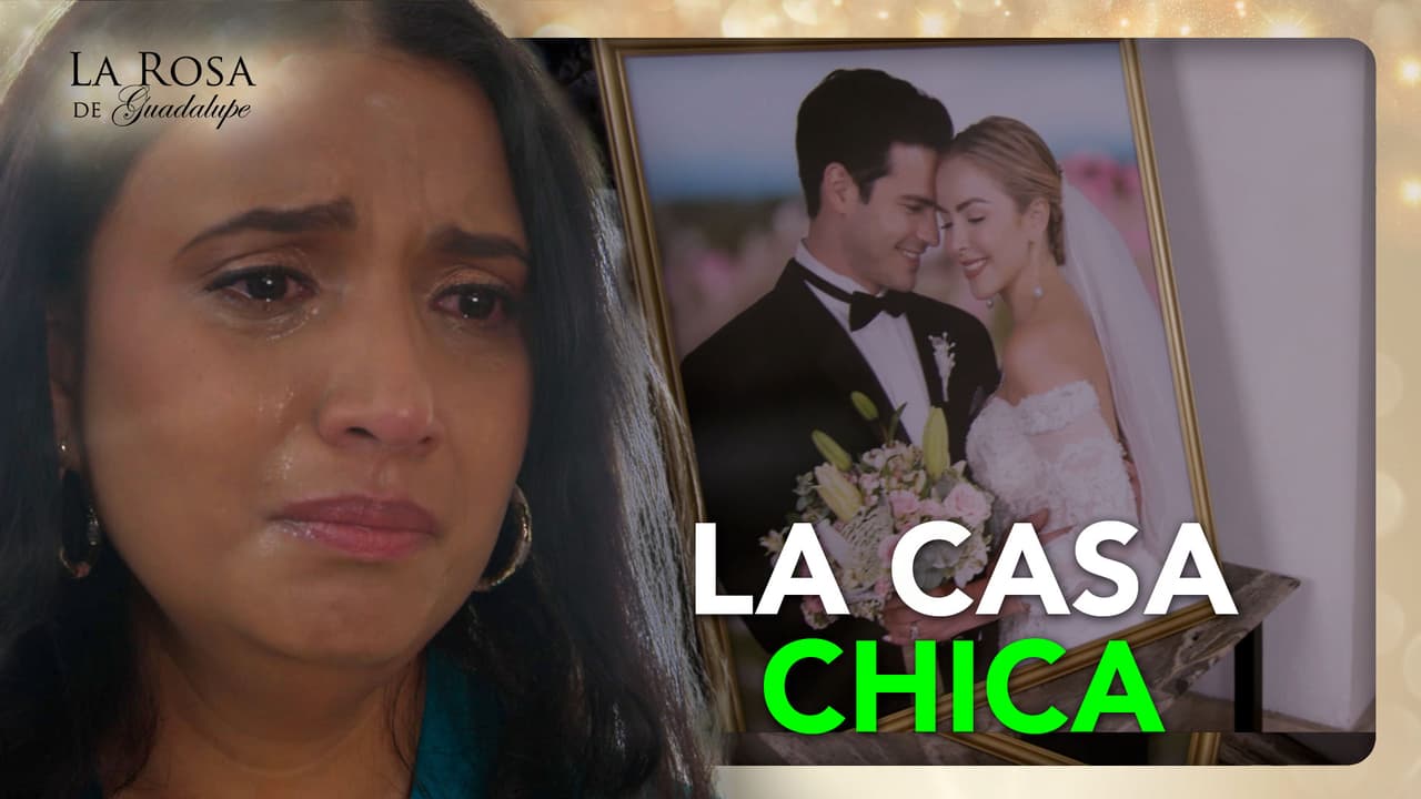 Brisa se conformó desde el primer día con ser la casa chica