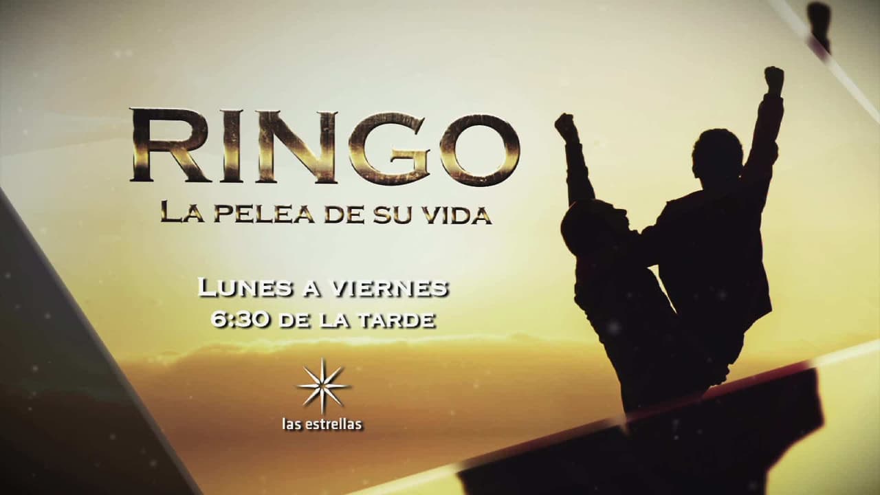 ringo_21012019_puntodeventa_amistad