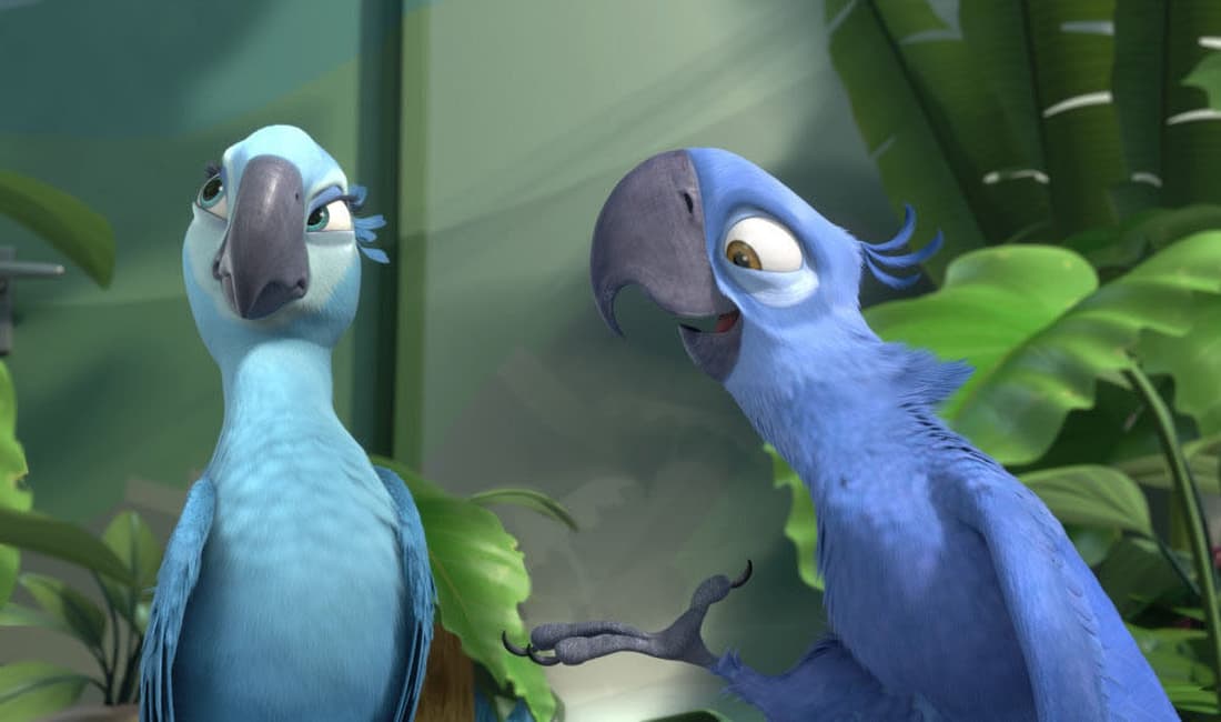 Un estudio de Bird International confirmó la extinción del guacamayo de Spix, especie que inspiró la película ‘Río’