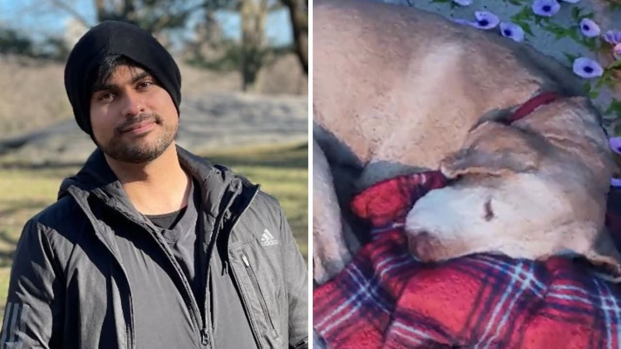 Gamer se "reencuentra" con su perrito muerto a través de realidad virtual.