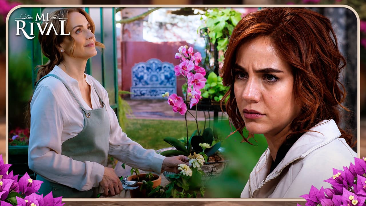 ¿Paloma se rinde en la guerra contra Bárbara?