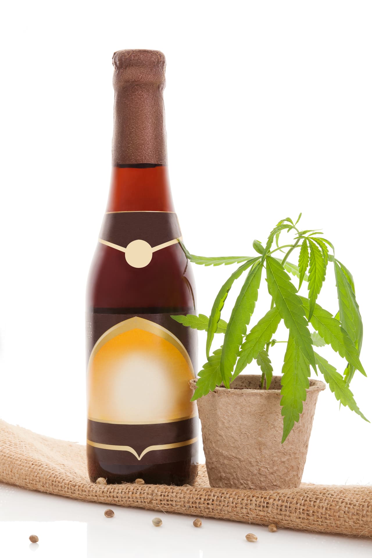 Venderán la primera cerveza 100% hecha de marihuana