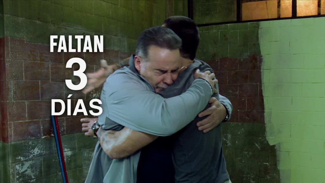 PROMO_18012019_ringo_faltan3dias