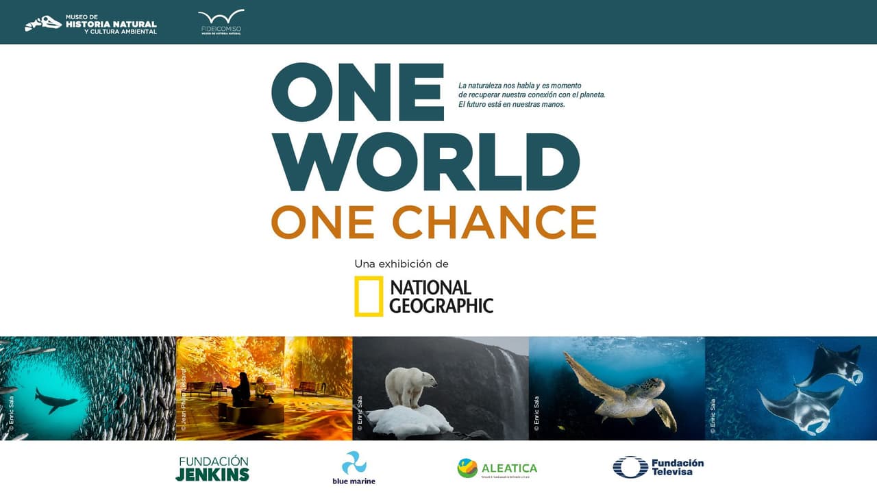 Fundación Televisa presenta 'One World, One Chance': la exposición inmersiva para concientizar sobre la naturaleza