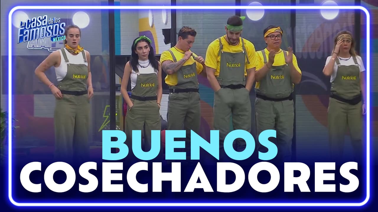 En la tercera jornada de la prueba de presupuesto los habitantes tuvieron una muy buena cosecha
