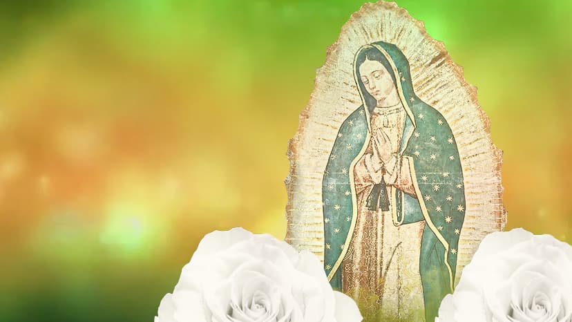 La Rosa de Guadalupe
