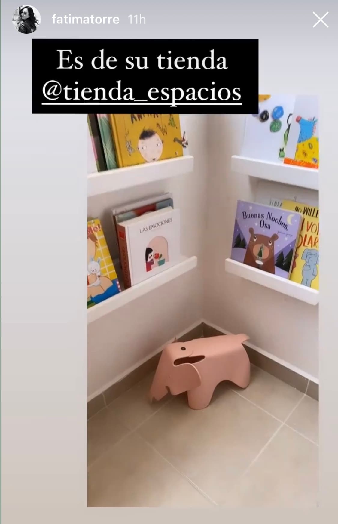 Comenzando por el rincón de lectura, el cual cuenta con diversos estantes y libros, la actriz de 'Soy tu Dueña' mostró cómo es el área donde su pequeña de entretiene.