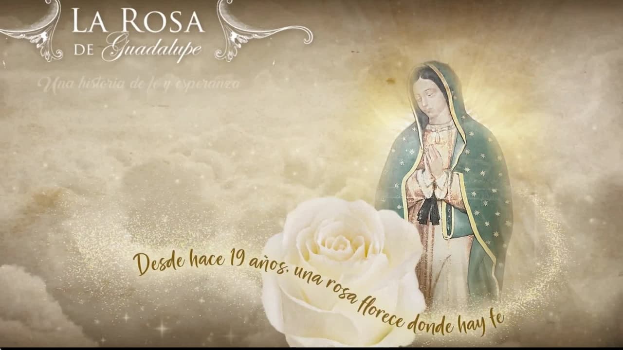 ¿Qué capítulo de estreno ver hoy 5 de octubre en La Rosa de Guadalupe?