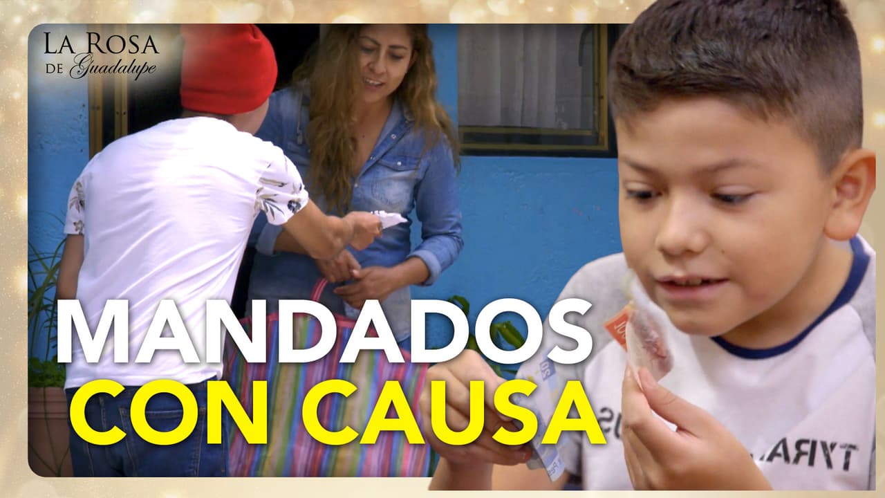 Paquito le echa la mano a Pedro haciendo mandados para ganar dinero