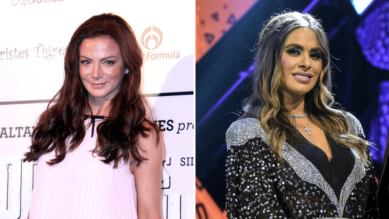 En 2014, 'Mi Corazón es Tuyo' fue una exitosa telenovela protagonizada por Jorge Salinas y Silvia Navarro, sin embargo, de acuerdo con información de Univisión, el productor Juan Osorio, a cargo de este proyecto, pensó el papel protagónico femenino para Galilea Montijo.