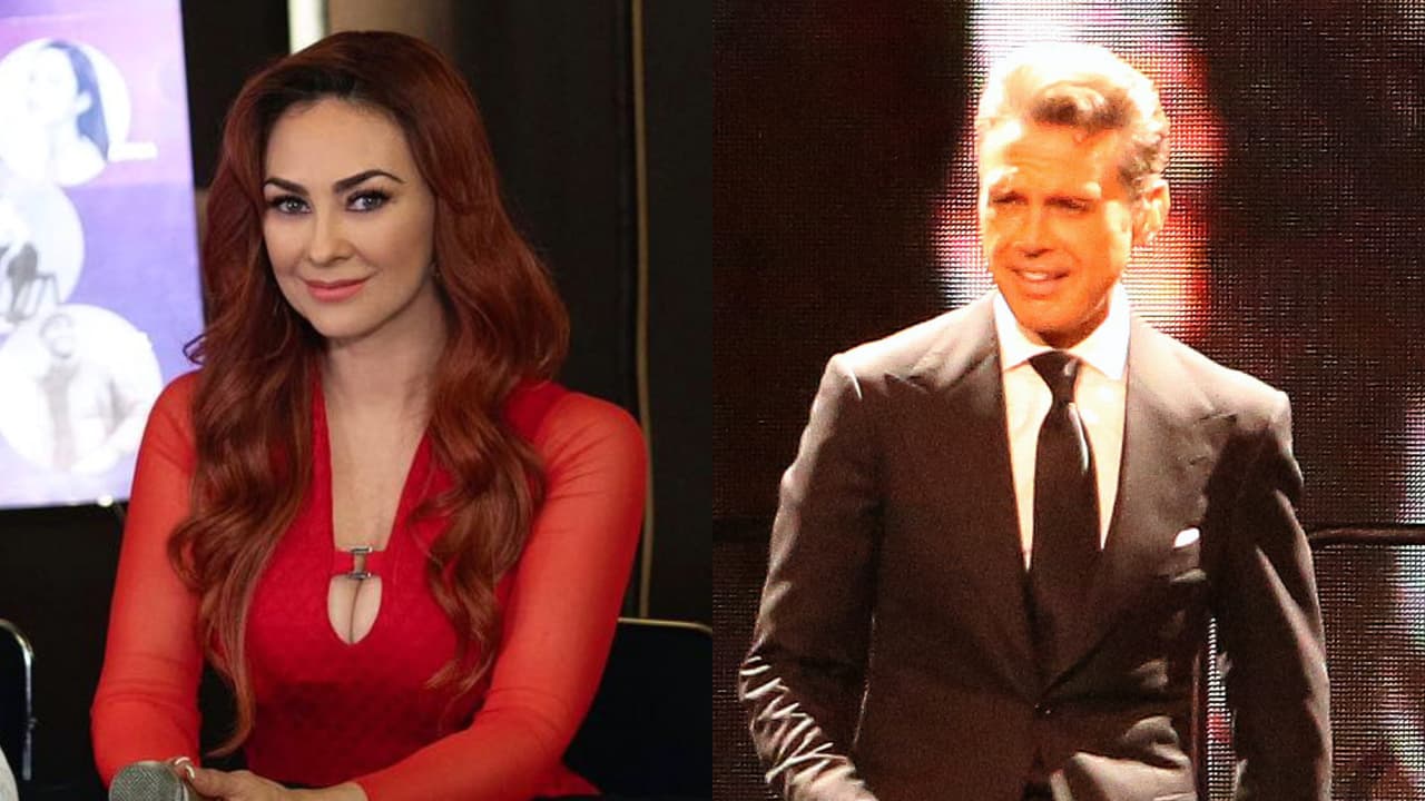 Desmienten a Aracely Arámbula: 'Luismi' sí pagaría manutención