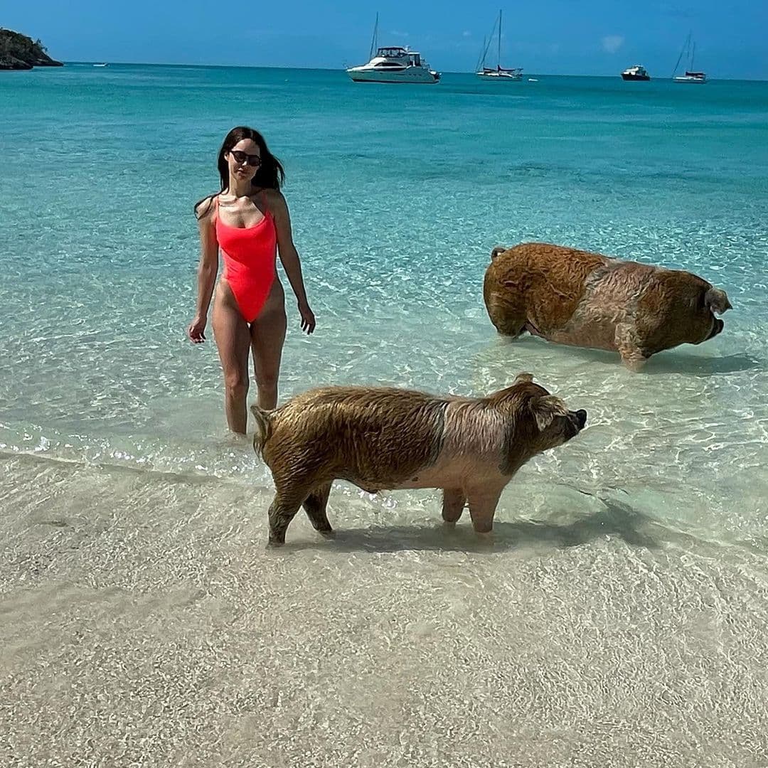 Camila Sodi una vez más se adueñó de las tendencias al presumir su increíble viaje por las Bahamas, el cual llamó la atención por el impactante traje de baño que lució y por las enternecedoras fotografías que compartió junto a un grupo de cerditos.