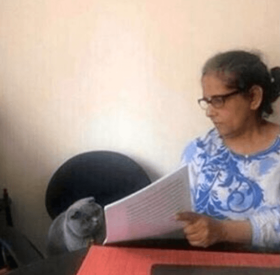 ¿Cuál es el origen del meme del gato y su examen?