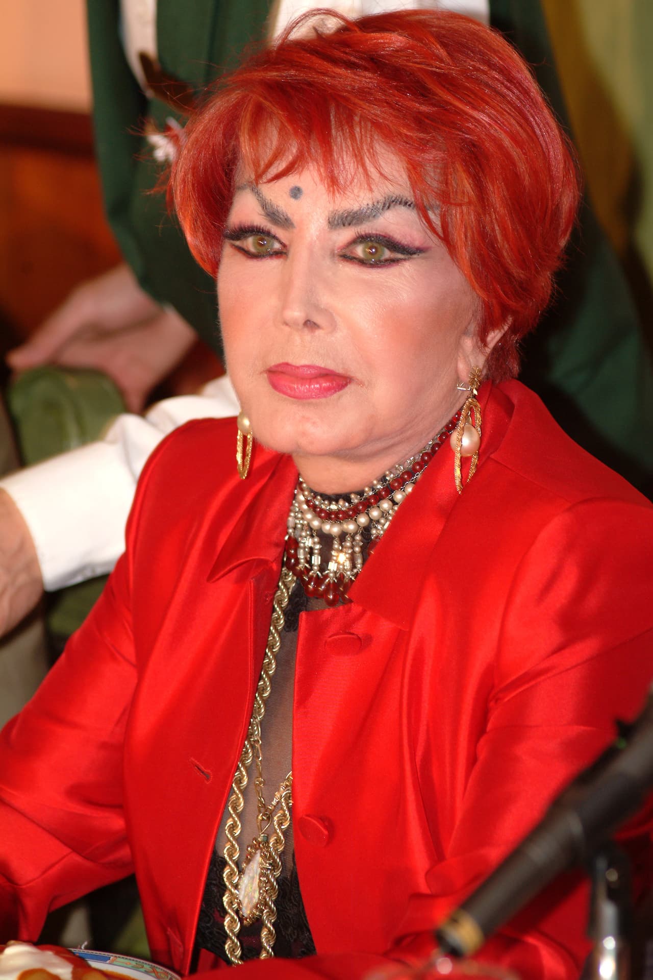 Irma Serrano - Mejor conocida como 'La Tigresa', ha impactado desde tiempos remotos con su penetrante mirada, misma que se encuentra principalmente enmarcada por sus características cejas pobladas y arqueadas en un ángulo muy singular.
