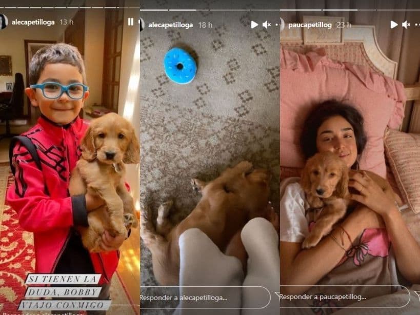 Los Capetillo Gaytán dan la bienvenida la nuevo integrante de la familia.