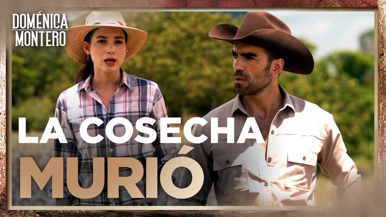 Luis Fernando pierde la esperanza de un mejor futuro