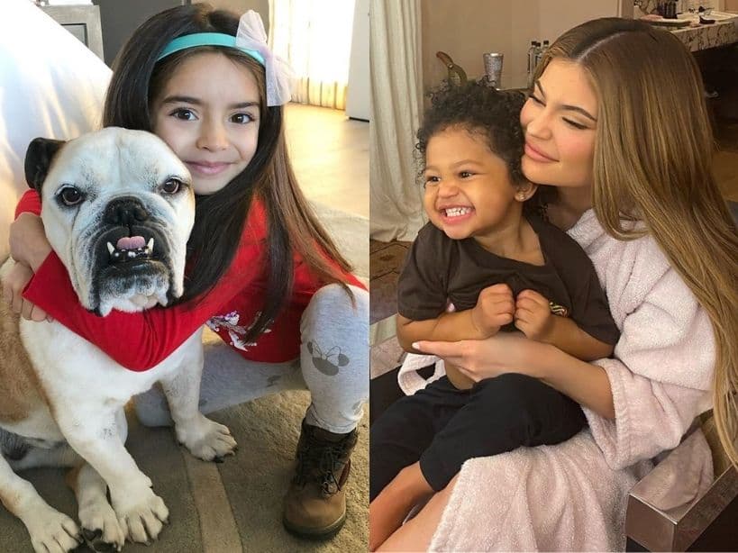 Los famosos se caracterizan por presumir sus lujosos hogares en redes sociales, donde también han dejado ver que sus hijas tienen los mismos gustos y poseen espectaculares casas de muñecas. Aitana Derbez y las hijas de las Kardashian son algunas que se han vuelto tendencia por mostrar cómo es su lugar de juegos.
