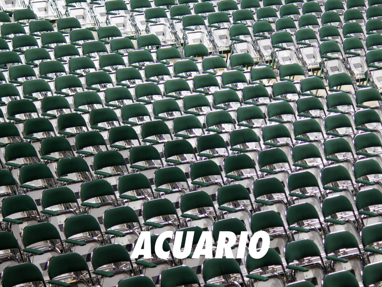 ACUARIO: Extrovertido y aventurero. Un signo que se destaca por ser muy original y creativo, pero estas cualidades resultan ser un arma de doble filo pues están relacionadas con su miedo: temor a no ser aceptado. Suele sentirse incomprendido muchas veces y le aterra la idea de quedarse solo.