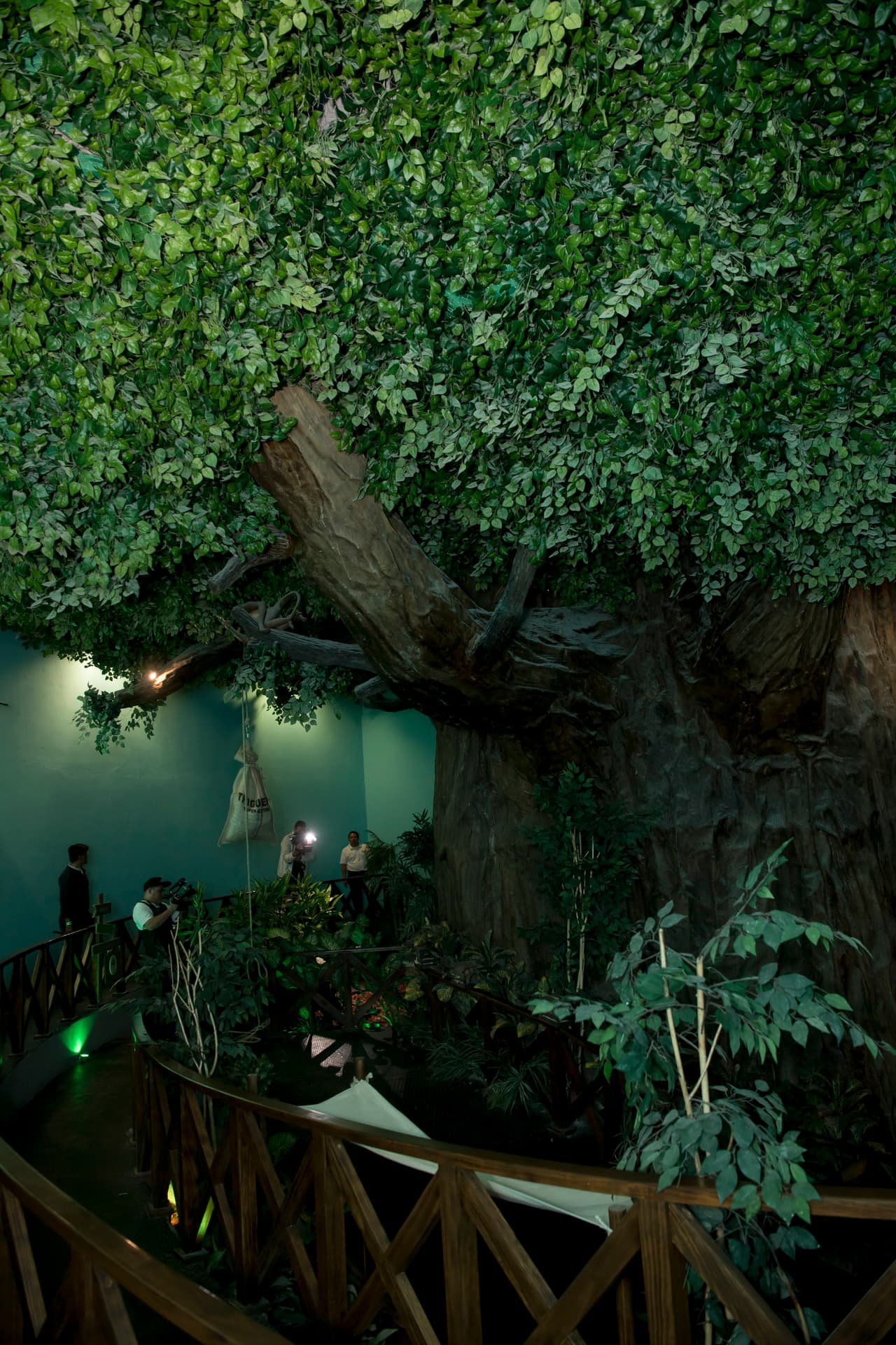 Este gran ahuehuete se llama “Sabino” y es un árbol interactivo.