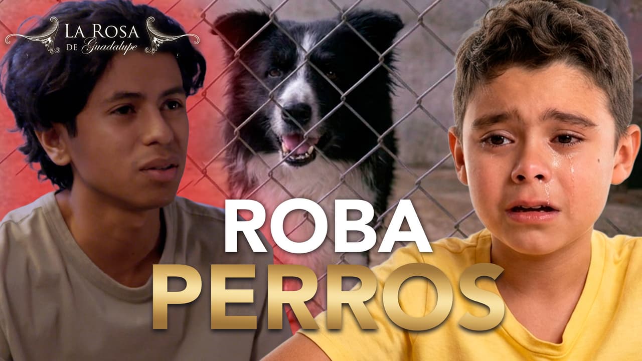 Mateo descubre que su hermano se robó al perrito de su profe para peleas clandestinas