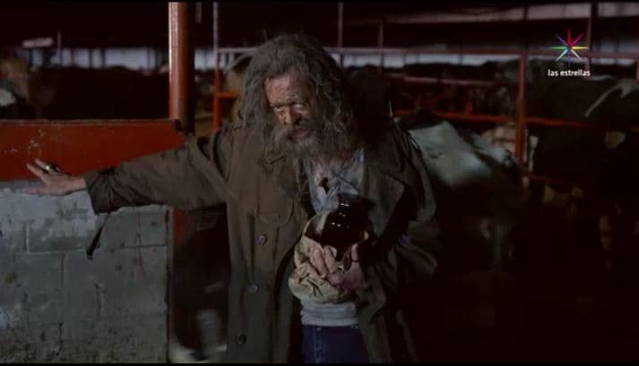 Capítulo 52: Severo daña el ganado de Rodrigo
