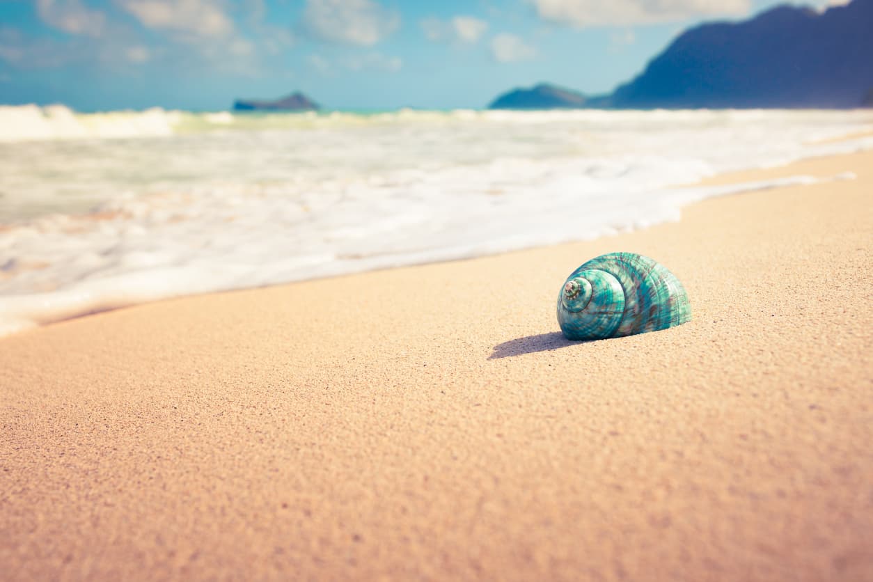 Todos los elementos que evoquen al mar funcionarán también como un amuleto perfecto para Cáncer. Puedes elegir conchas, cárcolas, rocas de playa, piedras de río, arena o agua de mar.