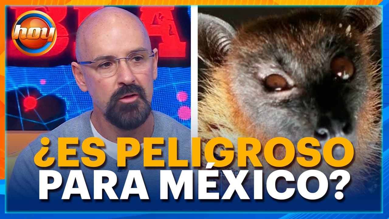 Nipah: Todo lo que debes saber del PELIGROSO virus detectado en India