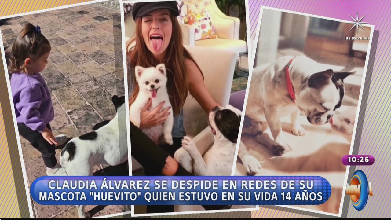 Anuncian en Hoy repentina muerte; se despiden con el corazón roto: “Gracias por elegirnos como tu familia”