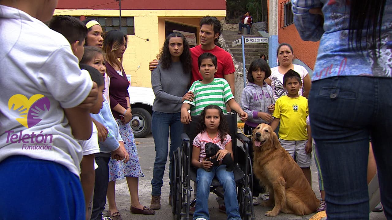REFLEXION: ¡Incluyamos la discapacidad en nuestra sociedad!