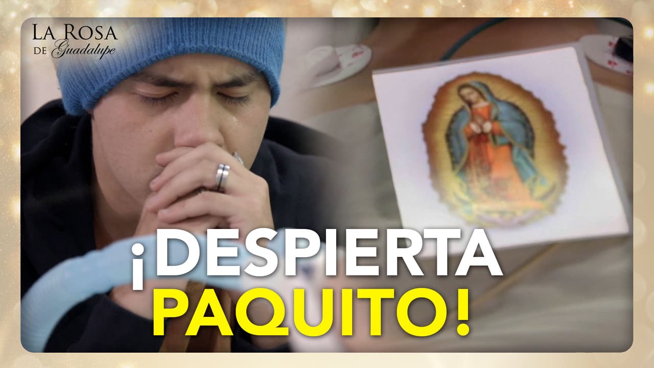 Pedro promete dejar el vicio para que Paquito despierte del coma