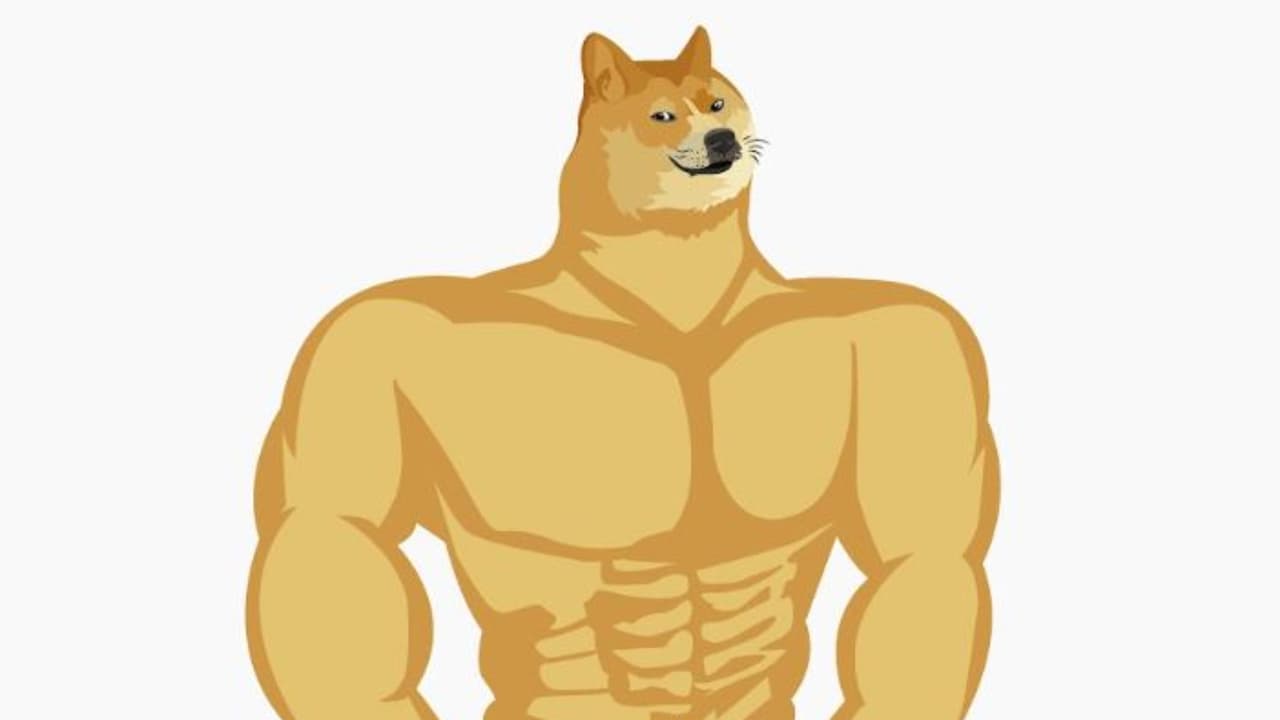 Pero no lleves a tu perro.