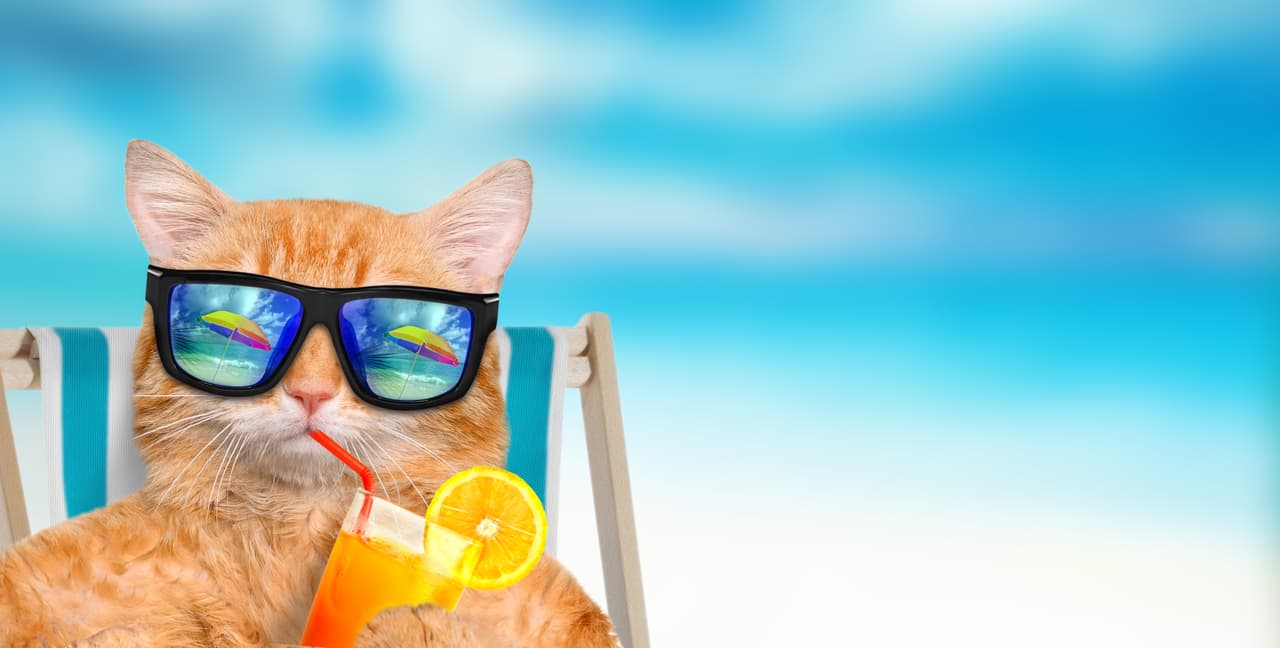 ¿Se te acabaron las vacaciones? Aquí los puentes y días festivos del 2020