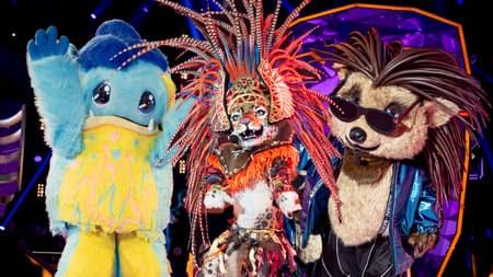 ¿Cómo se vota en 'Quién es la Máscara 2020'? | Shows ¿Quién es la