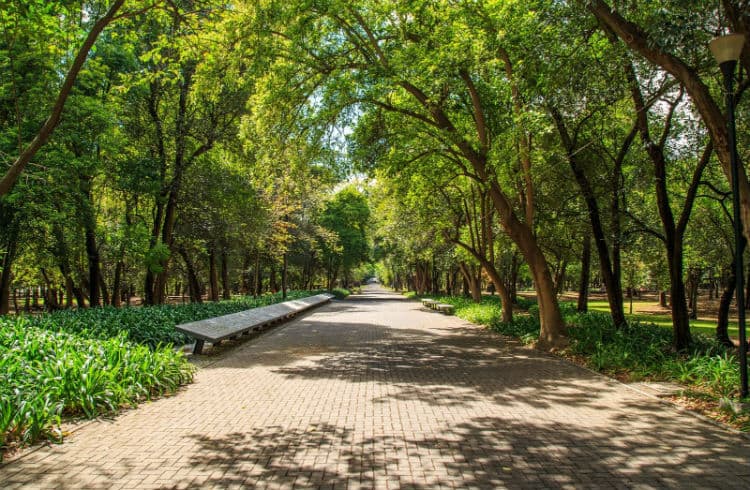 Top 10: Los lugares poco conocidos del Bosque de Chapultepec