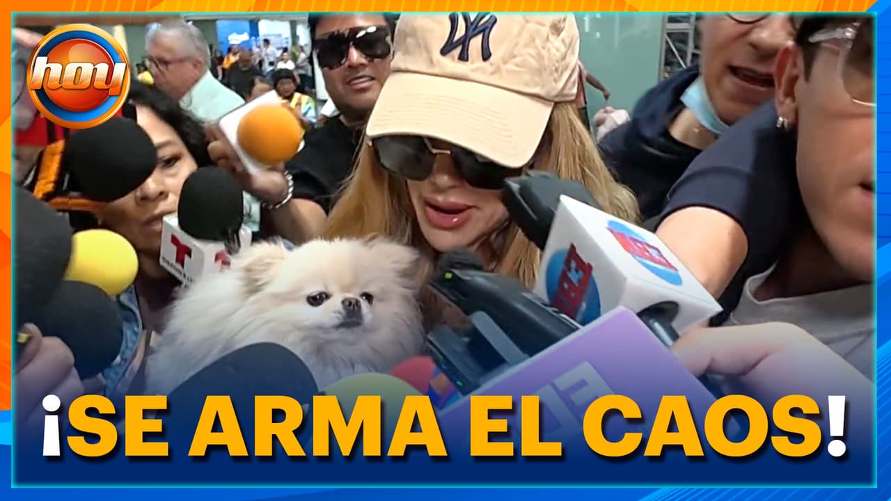 Ninel Conde llega al aeropuerto y todo se SALE DE CONTROL con los reporteros