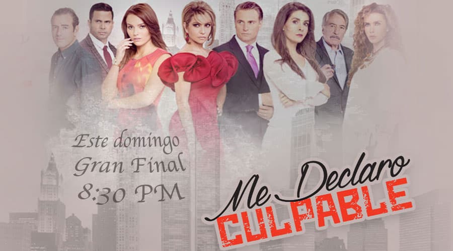 ¡El Gran Final está muy cerca!