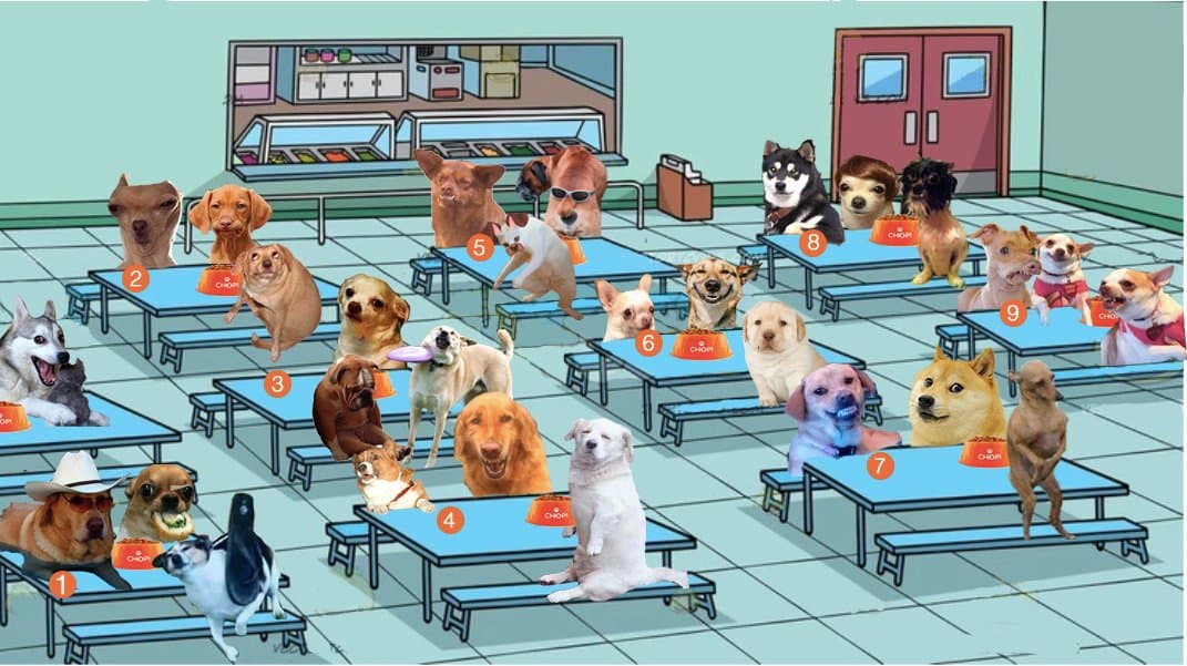 Muchos de estos perritos se volvieron famosos por las redes sociales y también tienen un espacio para que los elijas.