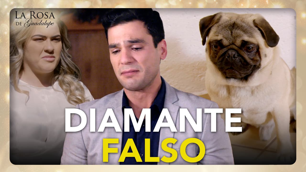 Axel se queda sin casa, sin novia y sin perro por ser un mísero muerto de hambre