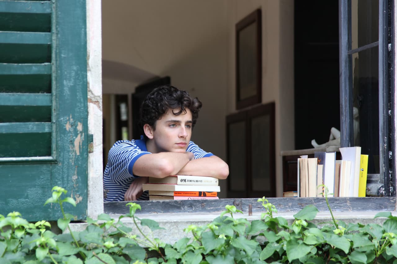 Actor Timothée Chalamet