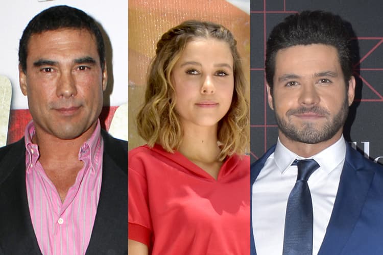 Los mejores agarrones y peleas del 2017