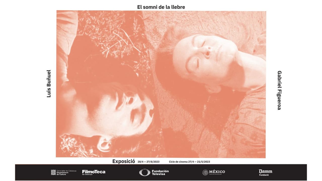 Exposición: El sueño de la liebre. El cine de Luis Buñuel y Gabriel Figueroa