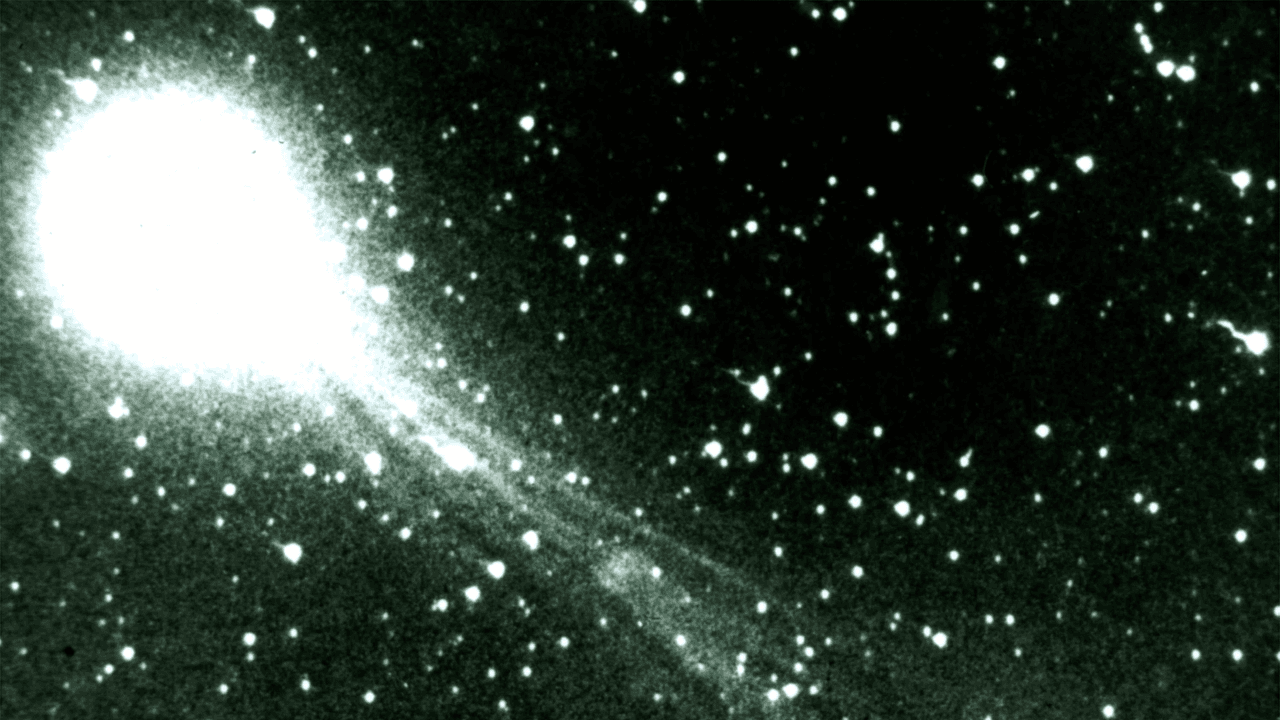 Cometa Halley